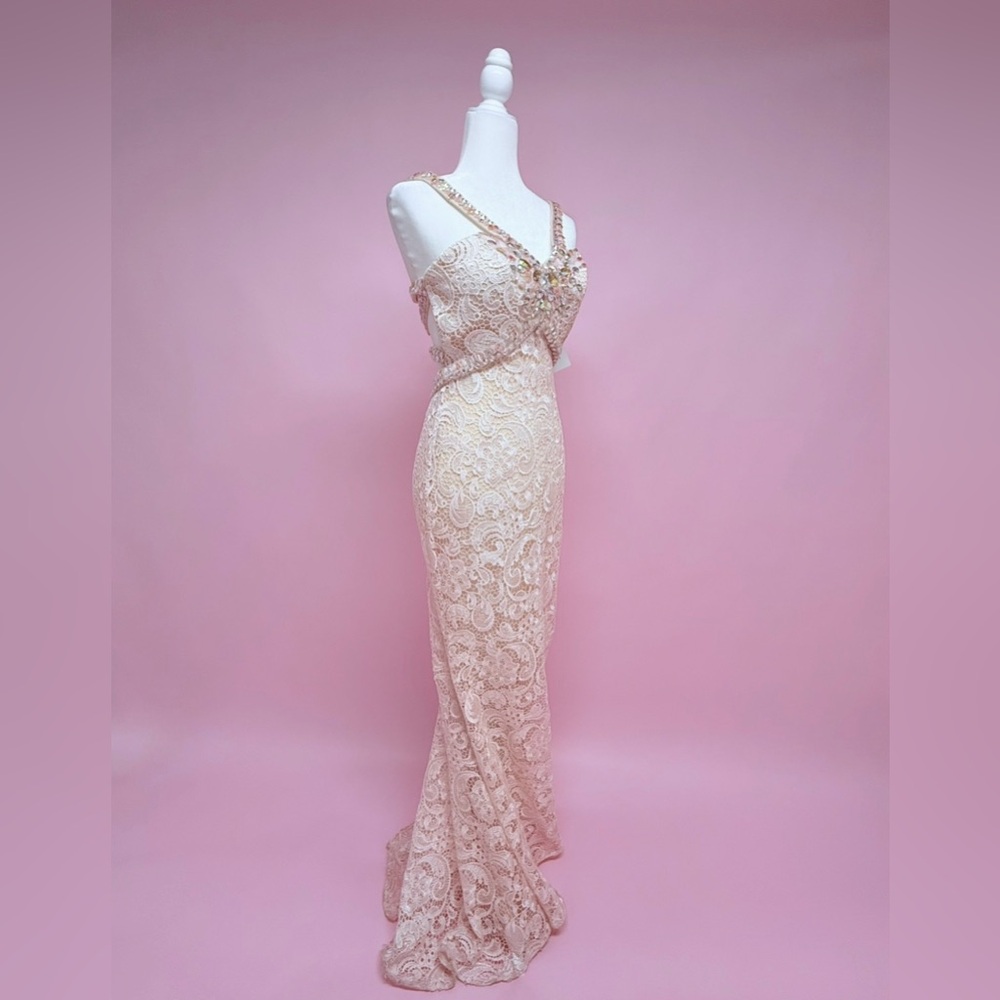 Stunning Lace Evening Gown